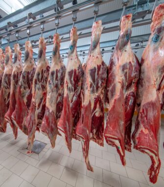 Halvt Højreb på ben. Finsk Choko. Kan KUN Leveres/hentes 1/5